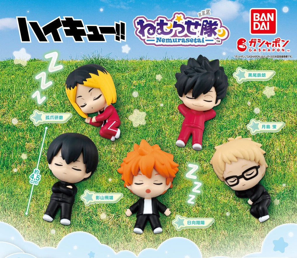 Gachapon - Haikyuu!! Nemurasetai