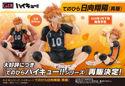 G.E.M. Series "Haikyuu!!" Hinata