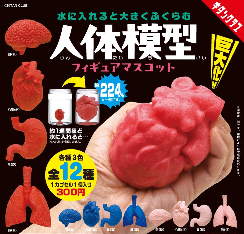 Gachapon - Growing Organs Mascot