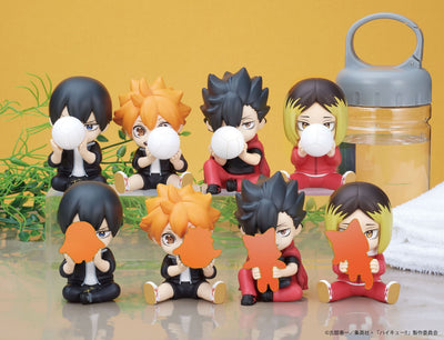 PERIHAPI! Hide & Seek Haikyuu!! Karasuno・Nekoma Blind Box