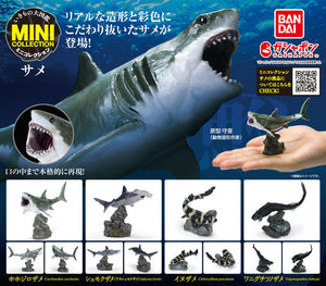 Gachapon - Mini Collection Sharks