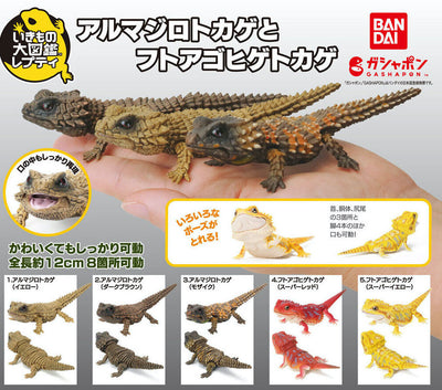 Gachapon - Lagarto Armadillo