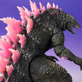 S.H.MonsterArts GODZILLA Evolved  FROM GODZILLA x KONG: THE NEW EMPIRE [2024]