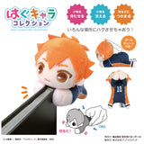 Haikyu Hug Chara Plush