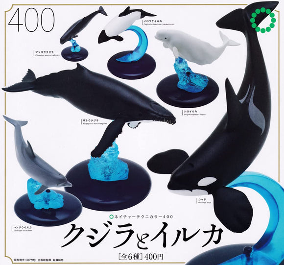 Gachapon - Delfines y Ballenas