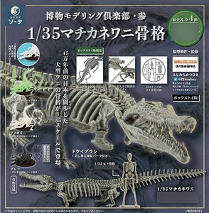 Gachapon - Museum Modeling Crocodile
