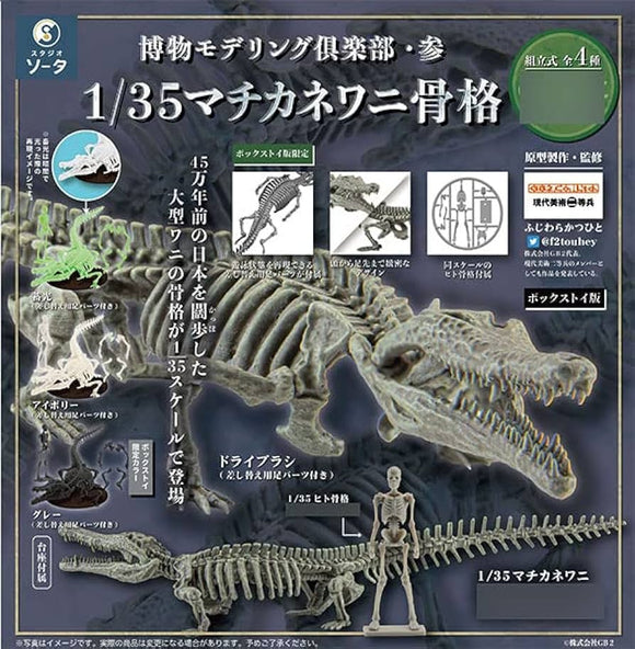 Gachapon - Museum Modeling Crocodile