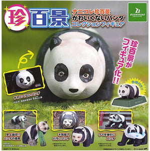 Gachapon - Nanikore?! El panda que no es bonito.