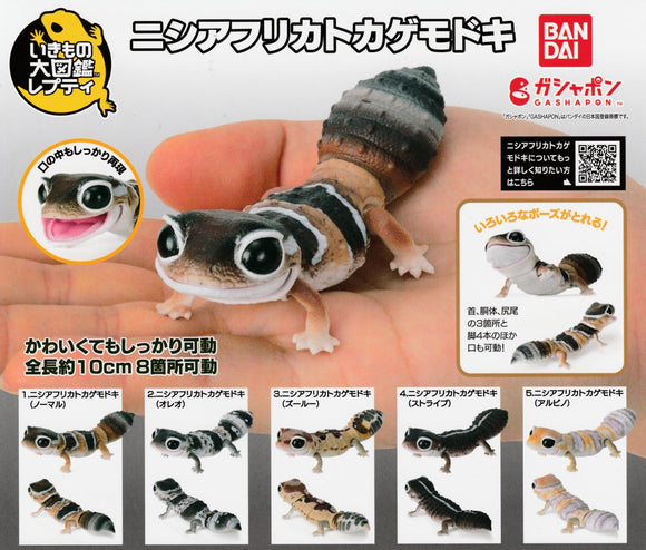 Gachapon - African Gecko