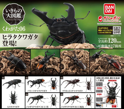Gachapon - Kuwagata 06