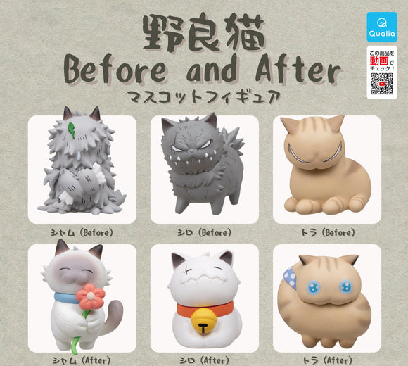Gachapon - Before and After Cat Collection