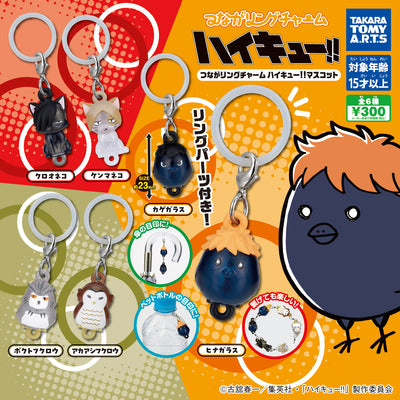 Gachapon - Haikyu Tsunagari Charm