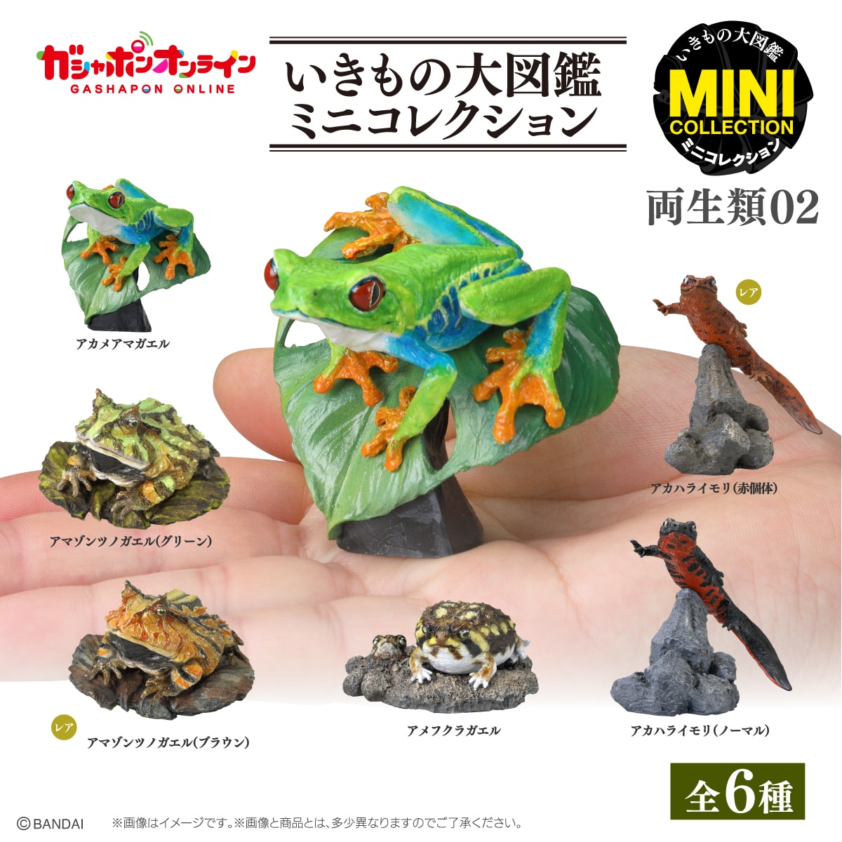 Gachapon - Anfibios